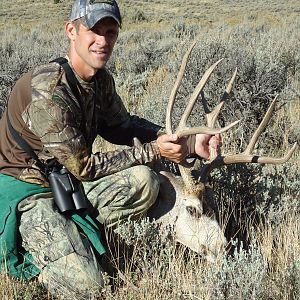Hunt Mule Deer in USA