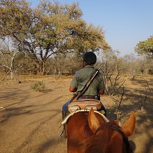 Hunting on horseback Botswana