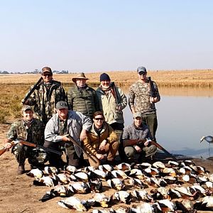 Good friends shooting wild waterfowl in South Africa