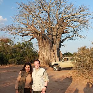 Baobab on Photo Safari South Africa