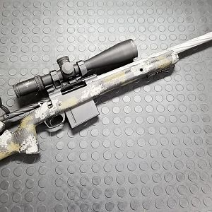 375 REM 700 Overwatch Rifle