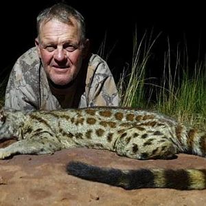 Genet Cat Hunting Sunset Safaris