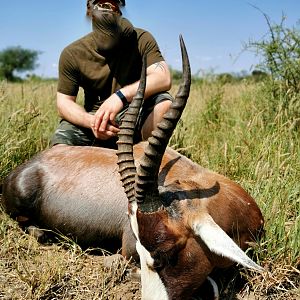 South Africa Hunt Blesbok