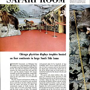 Dr. Howard's Safari Room