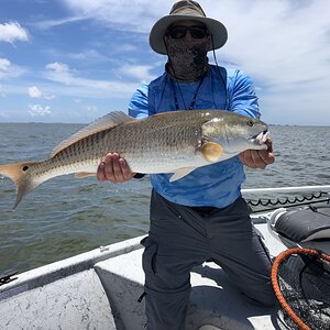 Fishing Redfish in USA