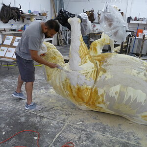 White Rhino Mounting Process