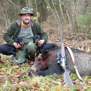 Poland Hunt Wild Boar with Dogs