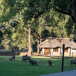 Zambia Hunting Lodge