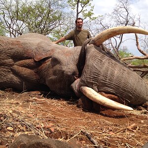 Hunting Elephant in Zimbabwe