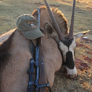 Gemsbok Hunting