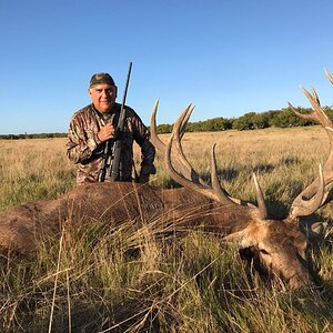 Hunting Red Stag in Argentina