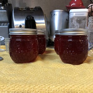 Prickly pear jelly