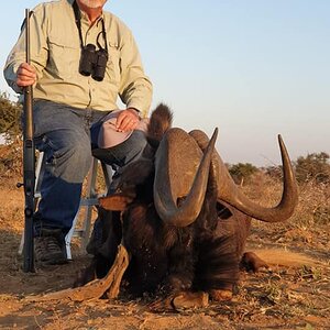 South Africa Hunting Black Wildebeest