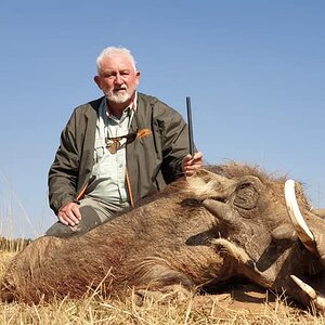 South Africa Hunt Warthog