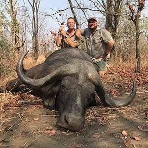 Zambia Hunting Buffalo