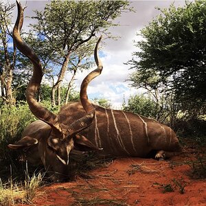 Kudu Guided by Zana Botes