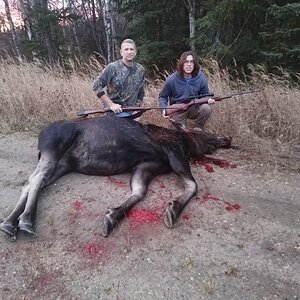 Moose Hunting Canada