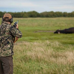 Argentina Hunting Water Buffalo
