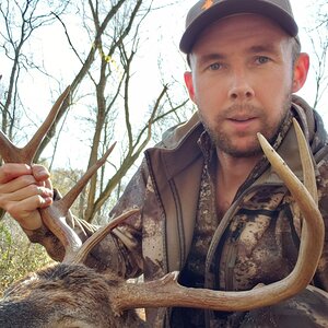 Bow Hunt White-tailed Deer in USA