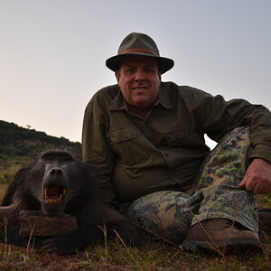 South Africa Hunting Baboon