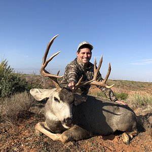Hunting Mule Deer Texas USA