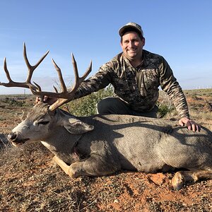 Texas USA Hunt Mule Deer