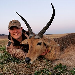 Common Reedbuck Hunt South Africa