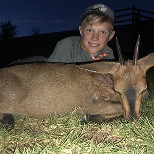 Hunt Duiker in South Africa