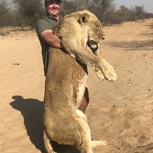 South Africa Hunt Lioness