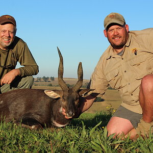 Bushbuck Hunting South Africa