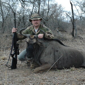 Blue Wildebeest Africa September 2007 Hunt