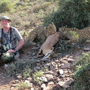 Cheetah experience Africa