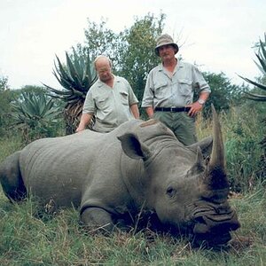 Rhino Hunting  Africa