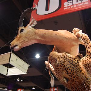 Taxidermy at Safari Club International Convention