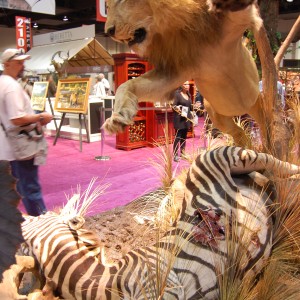 Taxidermy at Safari Club International Convention