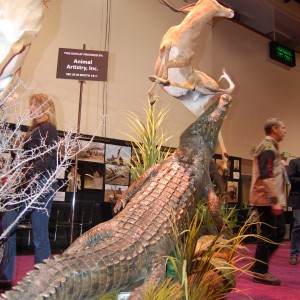 Taxidermy at Safari Club International Convention