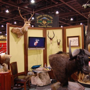 Taxidermy at Safari Club International Convention