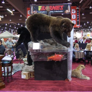 Taxidermy at Safari Club International Convention