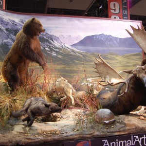 Taxidermy at Safari Club International Convention