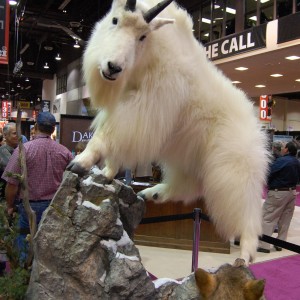 Taxidermy at Safari Club International Convention