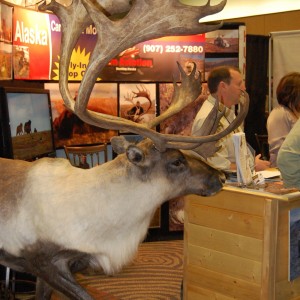 Taxidermy at Safari Club International Convention