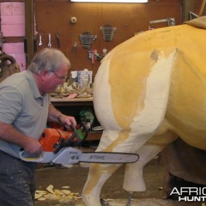 Rhino mounted by Black Creek Taxidermy