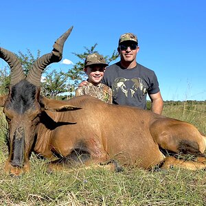 Hartebeest Hunting South Africa