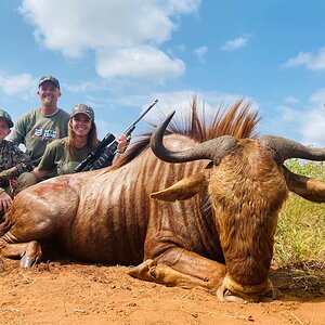 Golden Wildebeest Hunting South Africa