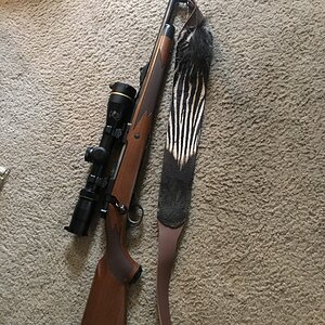 Zebra Rifle Sling Taxidermy