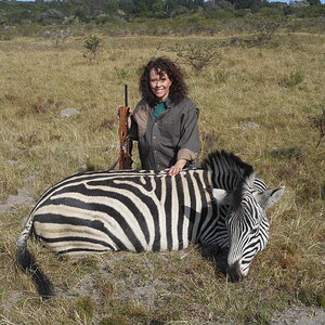 Zebra Hunting