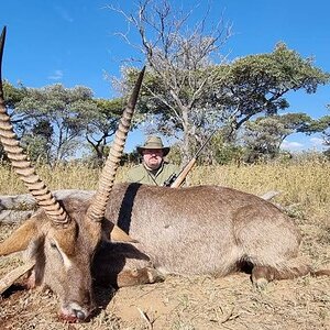 Waterbuck Hunt Limpopo South Africa