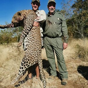Leopard Hunting Botswana