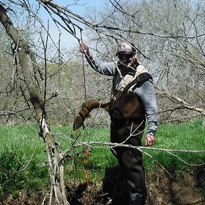 Bowfishing Carp