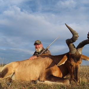 Red Hartebeest Hunt Eastern Cape South Africa
